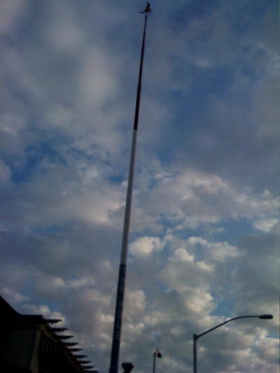 the pole 2 (2).jpg